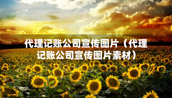 代理记账公司宣传图片（代理记账公司宣传图片素材）