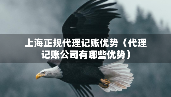 上海正规代理记账优势（代理记账公司有哪些优势）