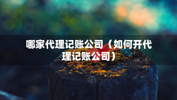 哪家代理记账公司（如何开代理记账公司）