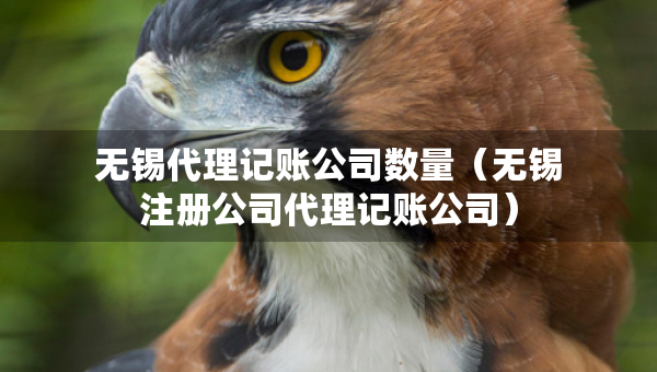 无锡代理记账公司数量（无锡注册公司代理记账公司）