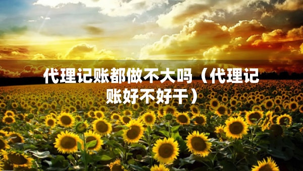 代理记账都做不大吗（代理记账好不好干）