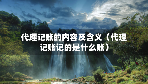 代理记账的内容及含义（代理记账记的是什么账）