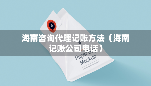 海南咨询代理记账方法（海南记账公司电话）