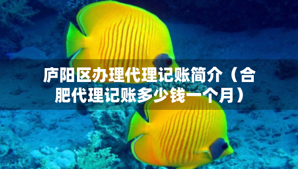 庐阳区办理代理记账简介（合肥代理记账多少钱一个月）
