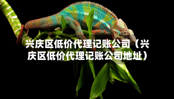兴庆区低价代理记账公司（兴庆区低价代理记账公司地址）