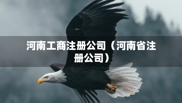 河南工商注册公司（河南省注册公司）