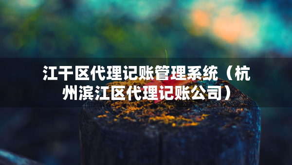 江干区代理记账管理系统（杭州滨江区代理记账公司）