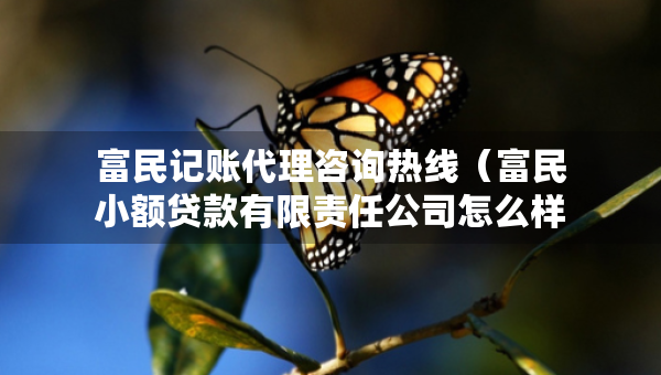 富民记账代理咨询热线（富民小额贷款有限责任公司怎么样）