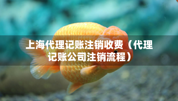 上海代理记账注销收费（代理记账公司注销流程）