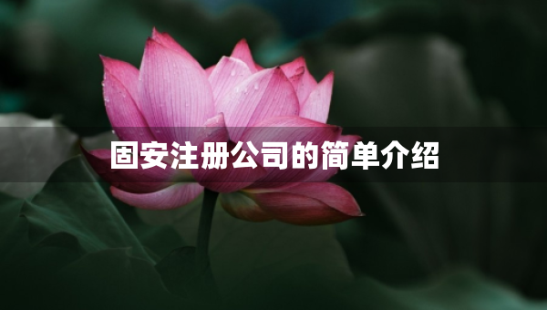 固安注册公司的简单介绍