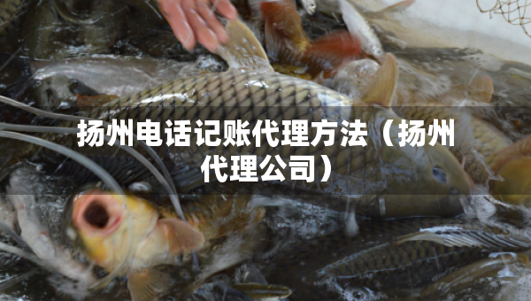 扬州电话记账代理方法（扬州代理公司）