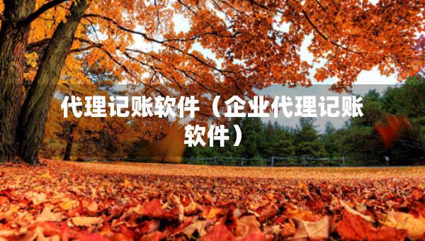 代理记账软件（企业代理记账软件）