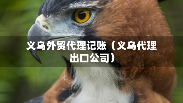 义乌外贸代理记账（义乌代理出口公司）