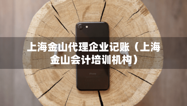 上海金山代理企业记账（上海金山会计培训机构）