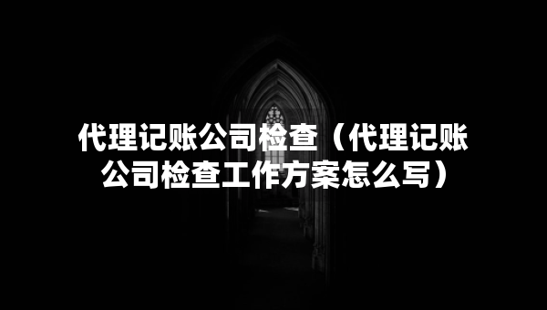 代理记账公司检查（代理记账公司检查工作方案怎么写）