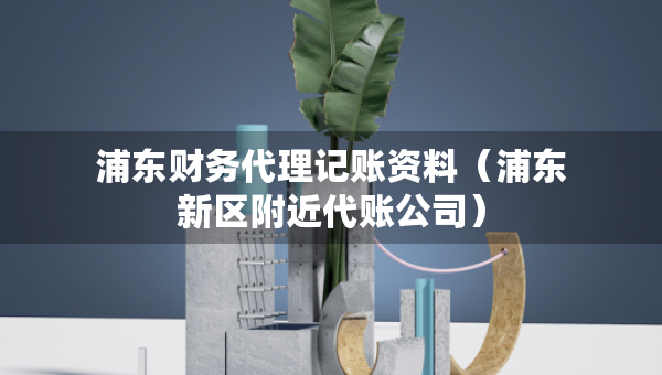 浦东财务代理记账资料（浦东新区附近代账公司）
