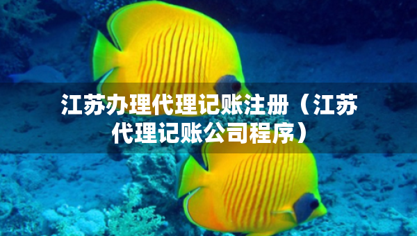 江苏办理代理记账注册(江苏代理记账公司程序) 江苏办理代理记账注册(江苏代理记账公司程序)