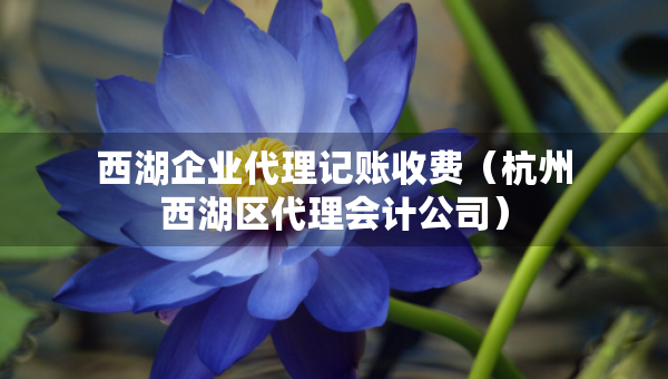 西湖企业代理记账收费（杭州西湖区代理会计公司）