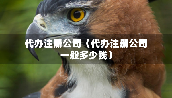 代办注册公司（代办注册公司一般多少钱）