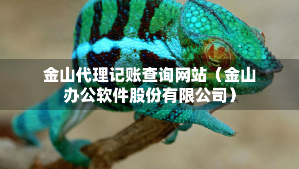 金山代理记账查询网站(金山办公软件股份有限公司) 金山代理记账查询网站(金山办公软件股份有限公司)
