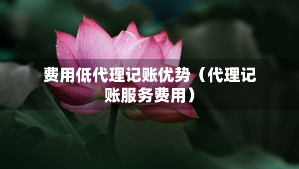 费用低代理记账优势（代理记账服务费用）