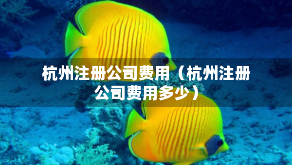 杭州注册公司费用（杭州注册公司费用多少）