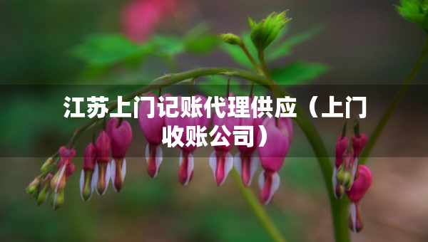 江苏上门记账代理供应(上门收账公司) 江苏上门记账代理供应(上门收账公司)