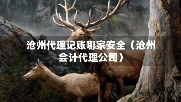 沧州代理记账哪家安全（沧州会计代理公司）