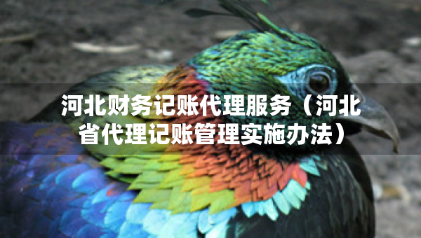 河北财务记账代理服务（河北省代理记账管理实施办法）
