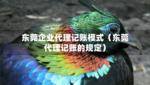 东莞企业代理记账模式（东莞代理记账的规定）