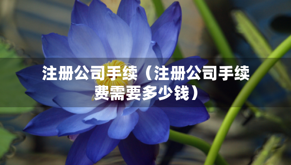 注册公司手续（注册公司手续费需要多少钱）