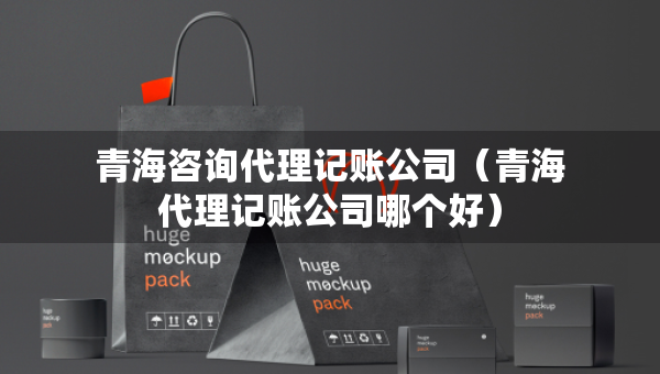 青海咨询代理记账公司（青海代理记账公司哪个好）
