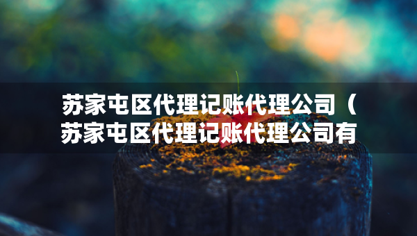 苏家屯区代理记账代理公司（苏家屯区代理记账代理公司有哪些）