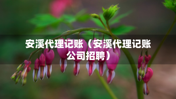 安溪代理记账（安溪代理记账公司招聘）