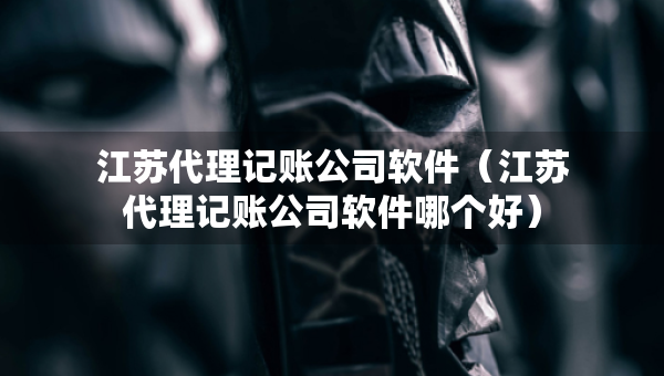江苏代理记账公司软件（江苏代理记账公司软件哪个好）