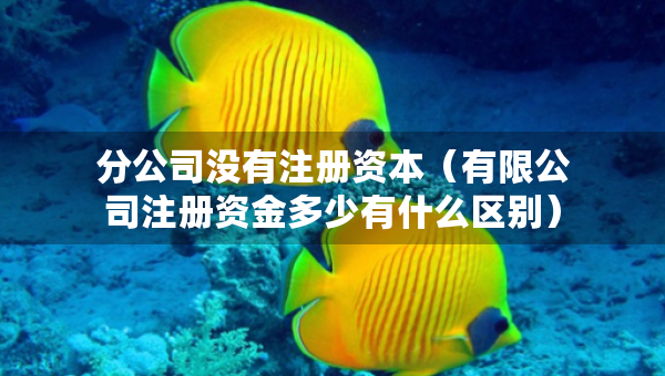 分公司没有注册资本（有限公司注册资金多少有什么区别）