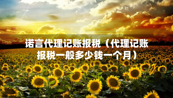 诺言代理记账报税（代理记账报税一般多少钱一个月）