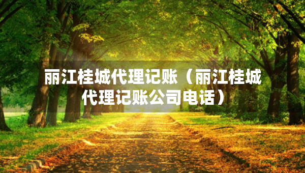 丽江桂城代理记账（丽江桂城代理记账公司电话）