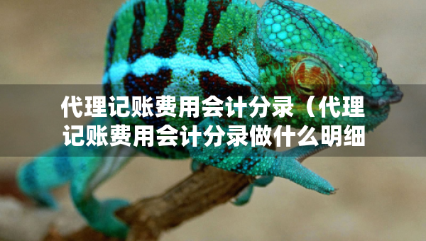 代理记账费用会计分录（代理记账费用会计分录做什么明细科目）