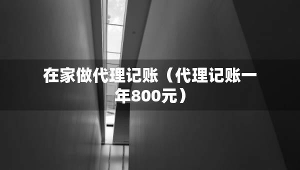 在家做代理记账（代理记账一年800元）