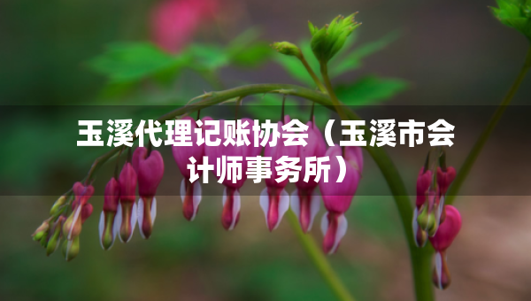 玉溪代理记账协会（玉溪市会计师事务所）