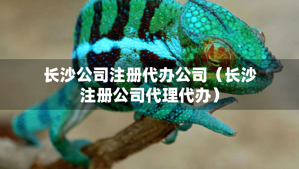 长沙公司注册代办公司（长沙注册公司代理代办）