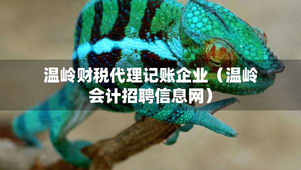 温岭财税代理记账企业（温岭会计招聘信息网）