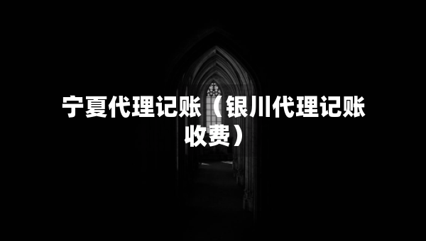 宁夏代理记账（银川代理记账收费）