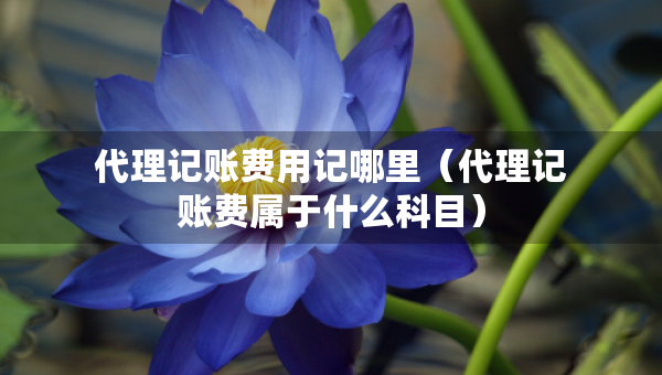 代理记账费用记哪里（代理记账费属于什么科目）