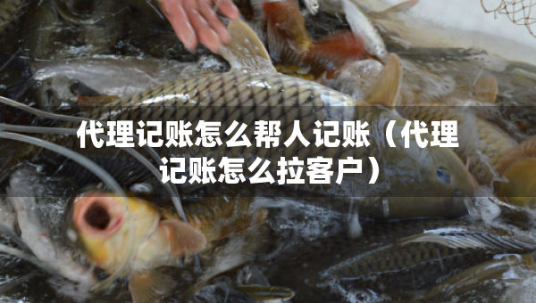 代理记账怎么帮人记账（代理记账怎么拉客户）