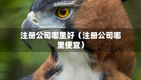 注册公司哪里好（注册公司哪里便宜）