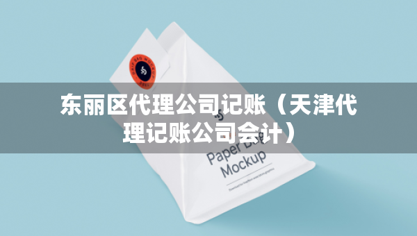东丽区代理公司记账（天津代理记账公司会计）