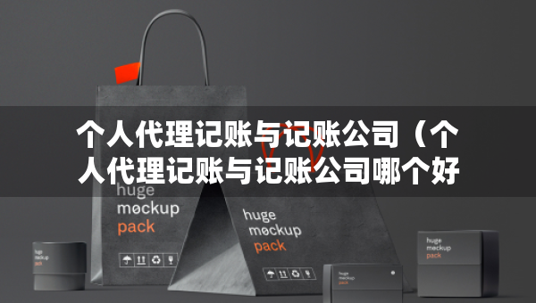 个人代理记账与记账公司（个人代理记账与记账公司哪个好）