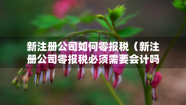 新注册公司如何零报税（新注册公司零报税必须需要会计吗）